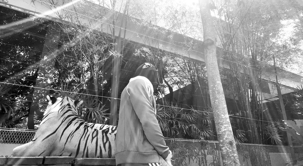 Masked figure beside a large tiger statue in sunlight.